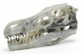Carved Labradorite Dinosaur Skull #218488-4